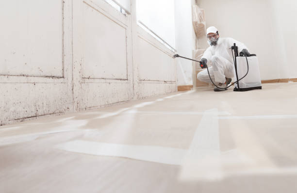 24/7 Emergency Black Mold Removal experts in Waverly, IL